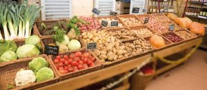 zelenina ilustracni foto Bureau Veritasw